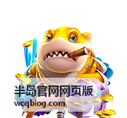 半岛官网网页版平台服务说明一览